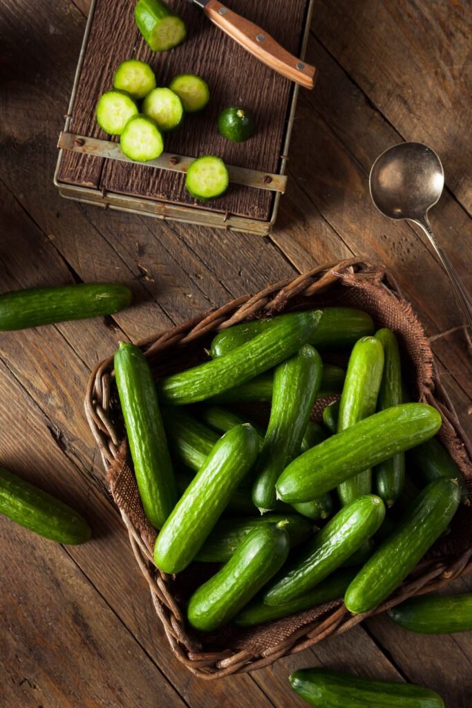 vegiterraneo 3
